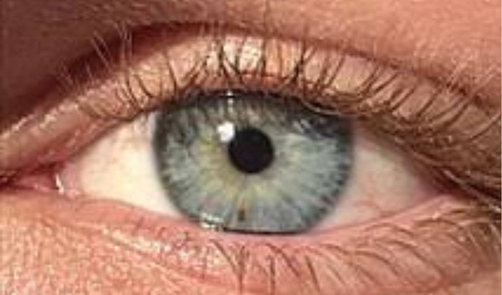 Iridology page blue iris image