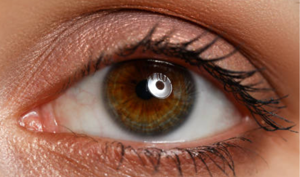 Iridology page brown iris image